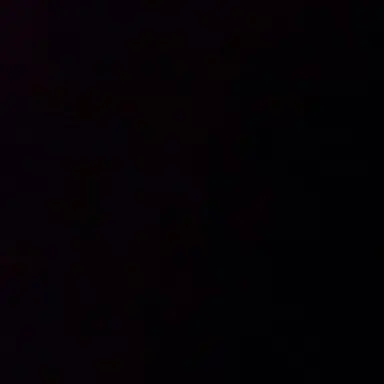 Profile image of 이윤수