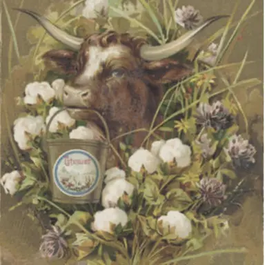 Profile image of 스위프트
