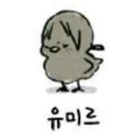 Profile image of 유미르