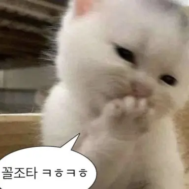 Profile image of 여우