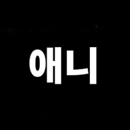 애니