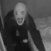 Profile image of Leo Life of Luxury