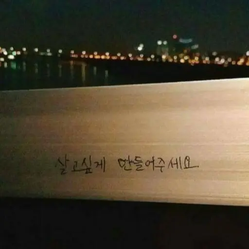 loveh.z의 한강다리