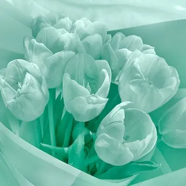 Profile image of 예엥