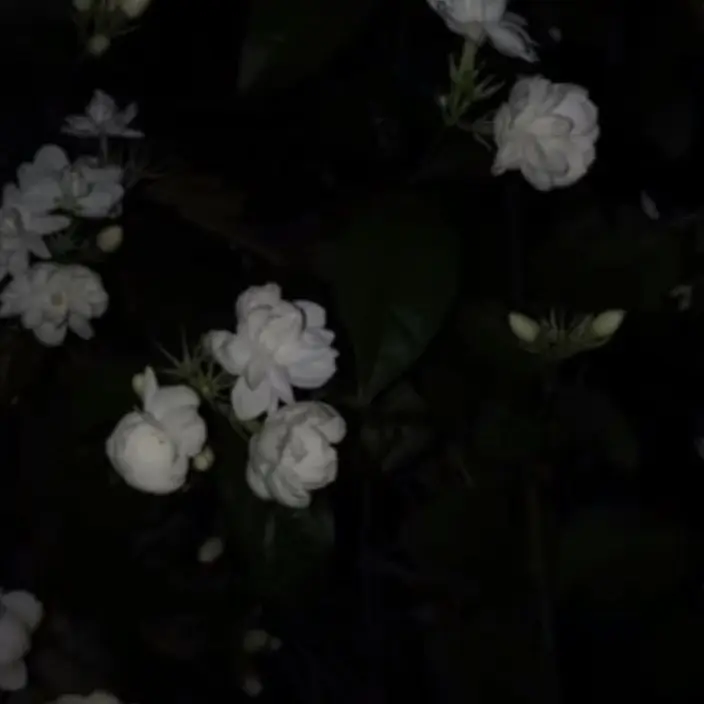 UntidyAinu9002의 好きな人にちょっかいを出してくる同級生