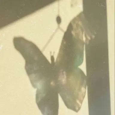 Profile image of 치키타