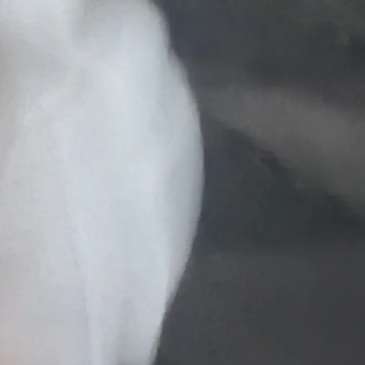 FullTent0162의 김원필