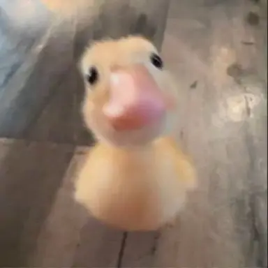 Profile image of 대저택