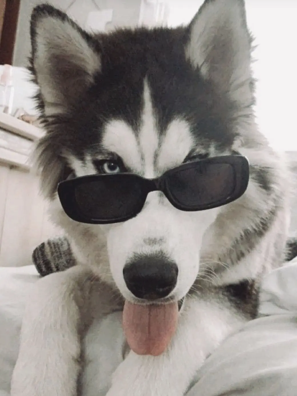 SKZ0325STAY의 愛のあるクズ