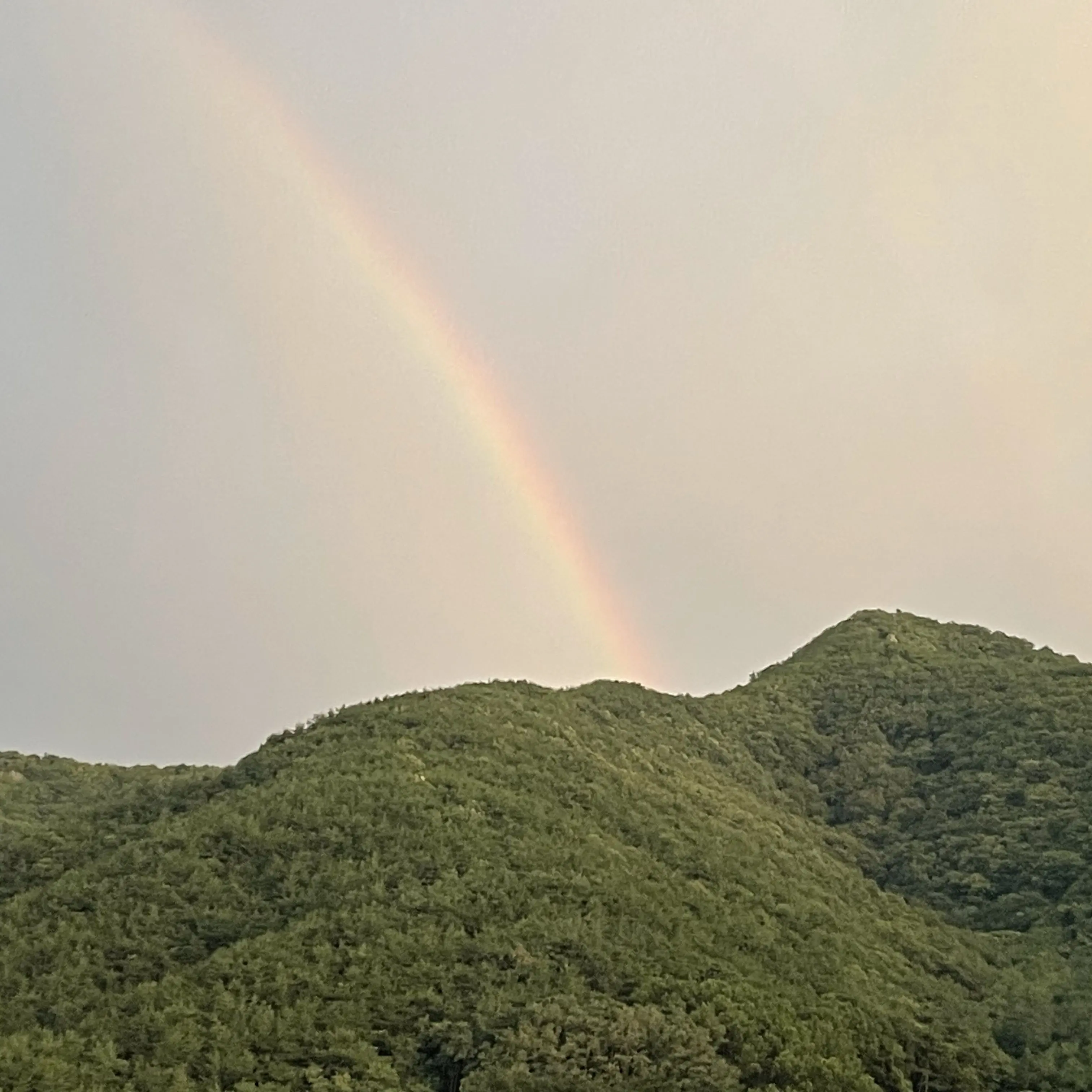 SharpCave1046의 꽥꽥탐험대 가족 (재미로만)