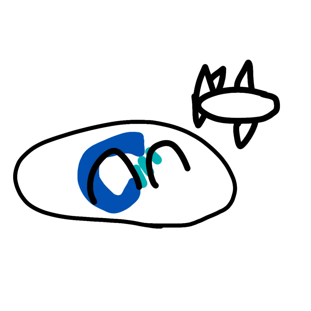 NEVADA_and_COLORADO의 인천볼