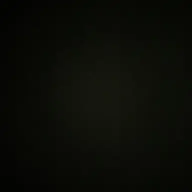 Profile image of 시노부