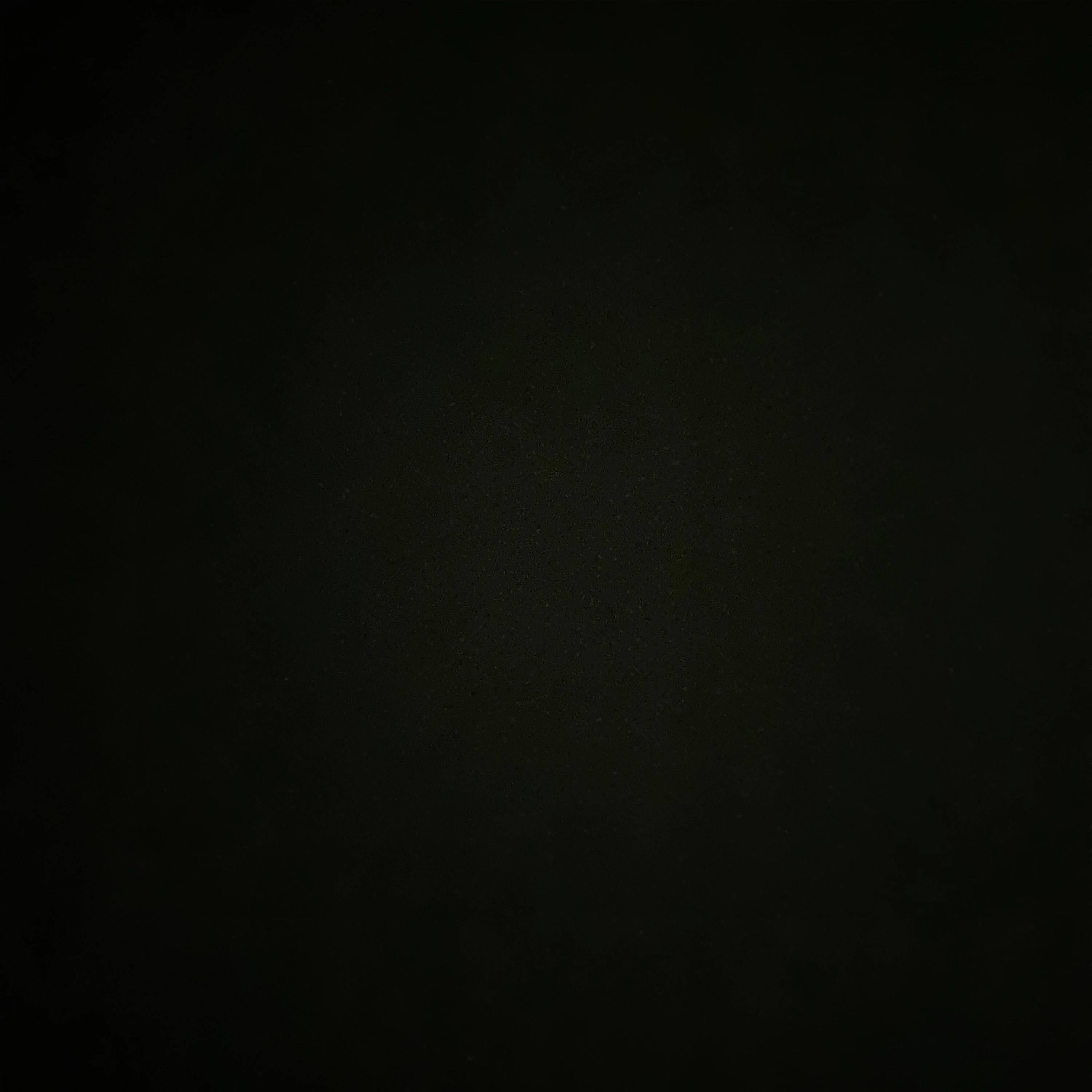 시노부