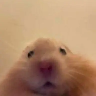 Profile image of 박성호