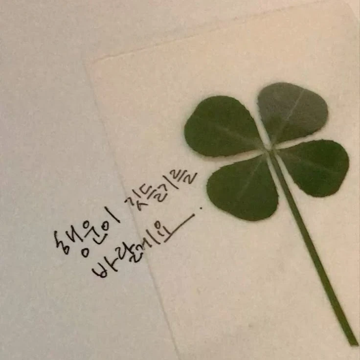 고민상담