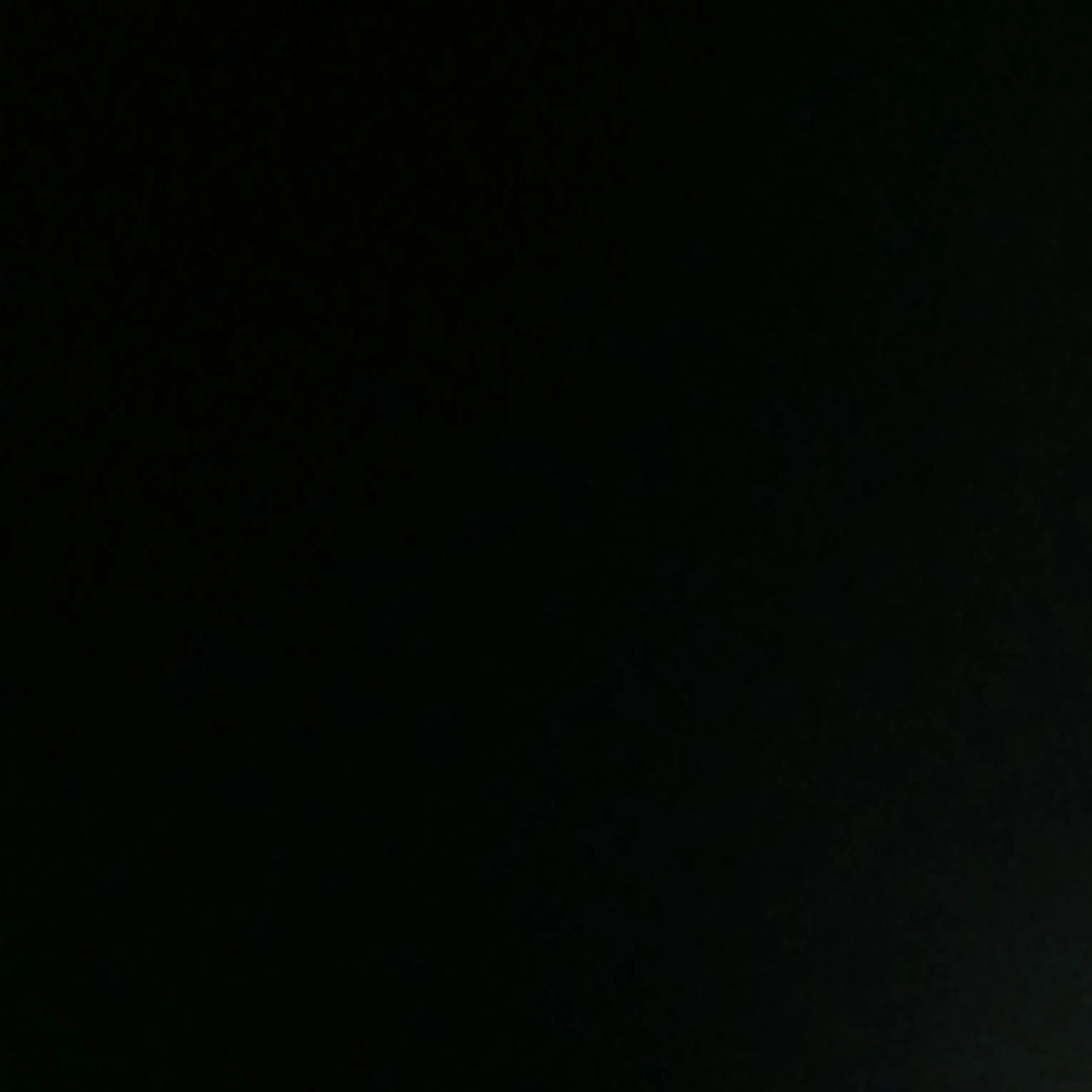 Shhjsg의 방송중 인데 여우가 방해함