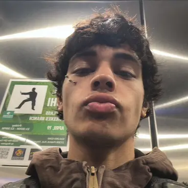 Profile image of Theo