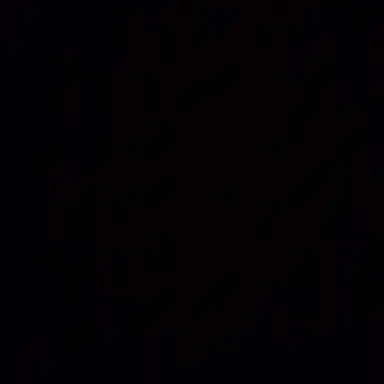 Profile image of 홍지슈