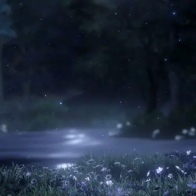 Profile image of 카이로 카야