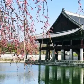 Profile image of 후궁들