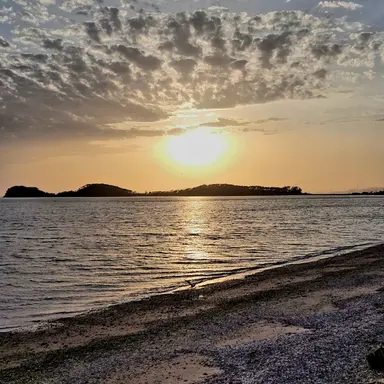 Profile image of 스프런키들