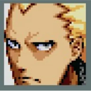 Profile image of 巽完二