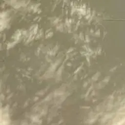 IdlePaint3009의 이상혁