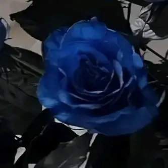 wkdtndus의 리레 3•1 운동!