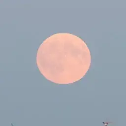 LISPEKMOSHA의 나의 새누나가 아이돌이라고?!