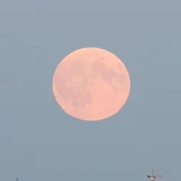 캐릭터는 전부 위에