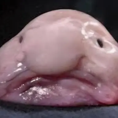 Profile image of 늑대