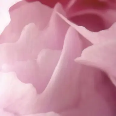 Profile image of 아프로디테