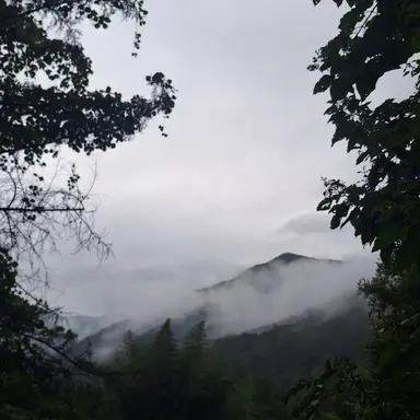 Profile image of 이홍위