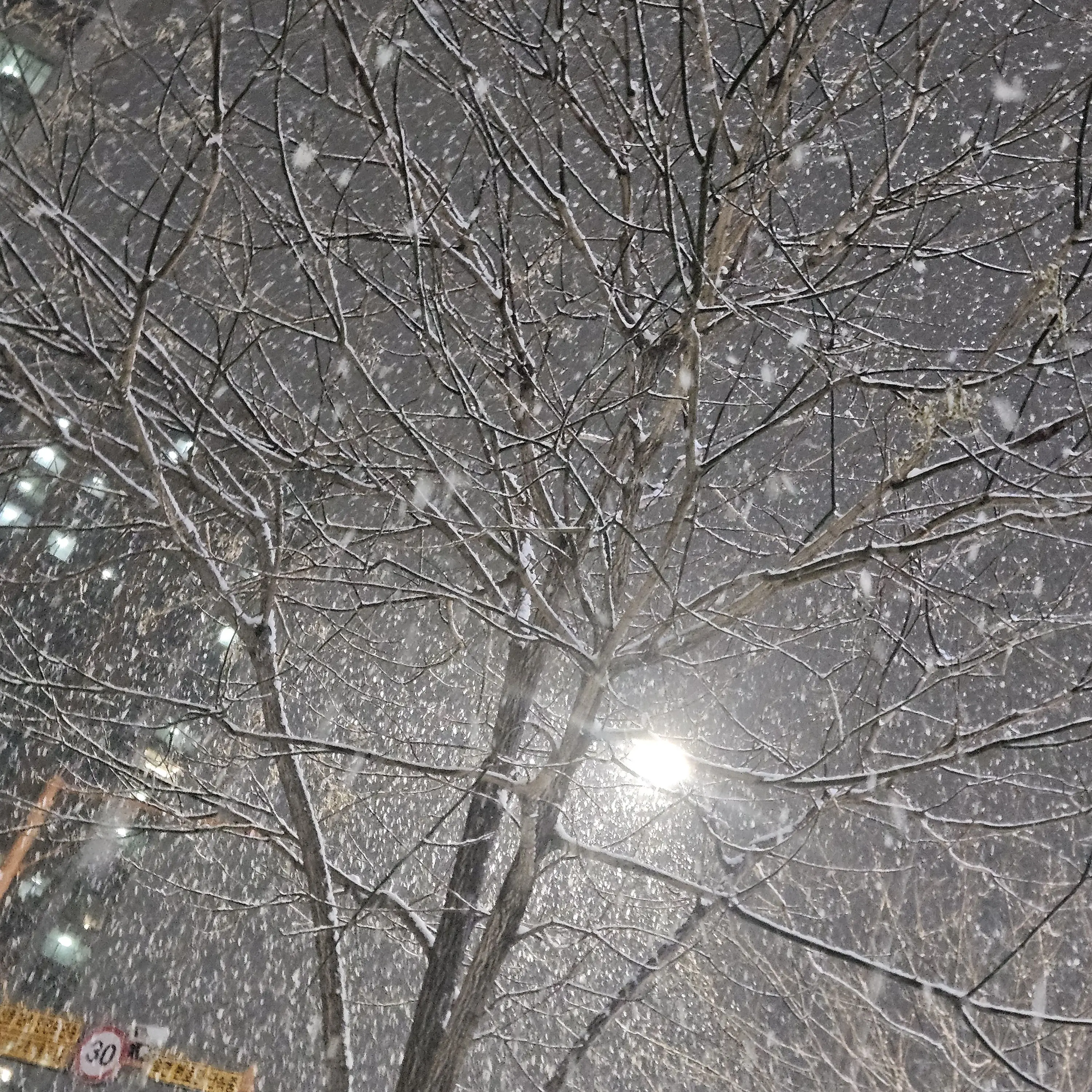 MildLady9001의 이싱혀기랑 싸움...ㅋㅋㅋ