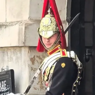 Profile image of UK royal guard