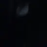 Profile image of ....