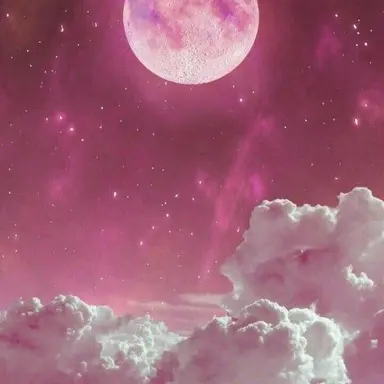 Profile image of 슈아