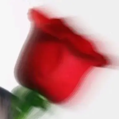 Profile image of 박지훈