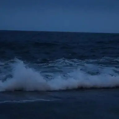 Profile image of 이해솔