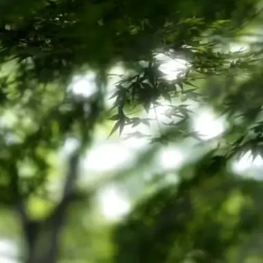 Profile image of 정공룡