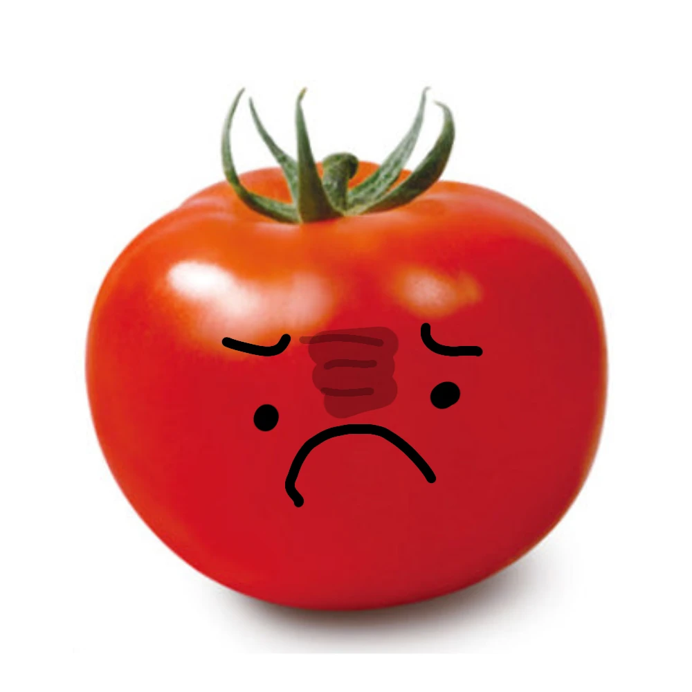 토마토