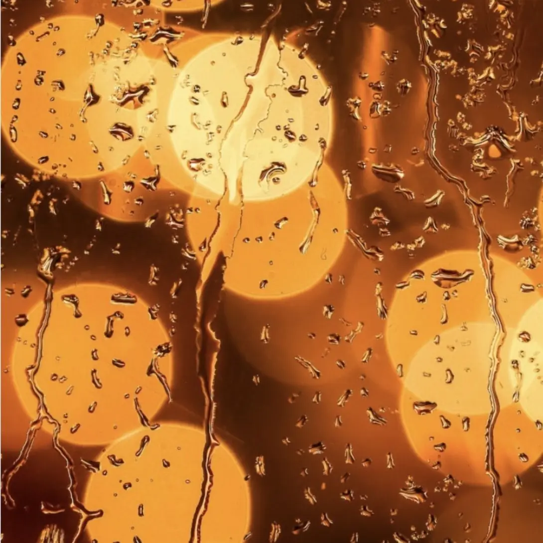 SheerBarb5433의 코마