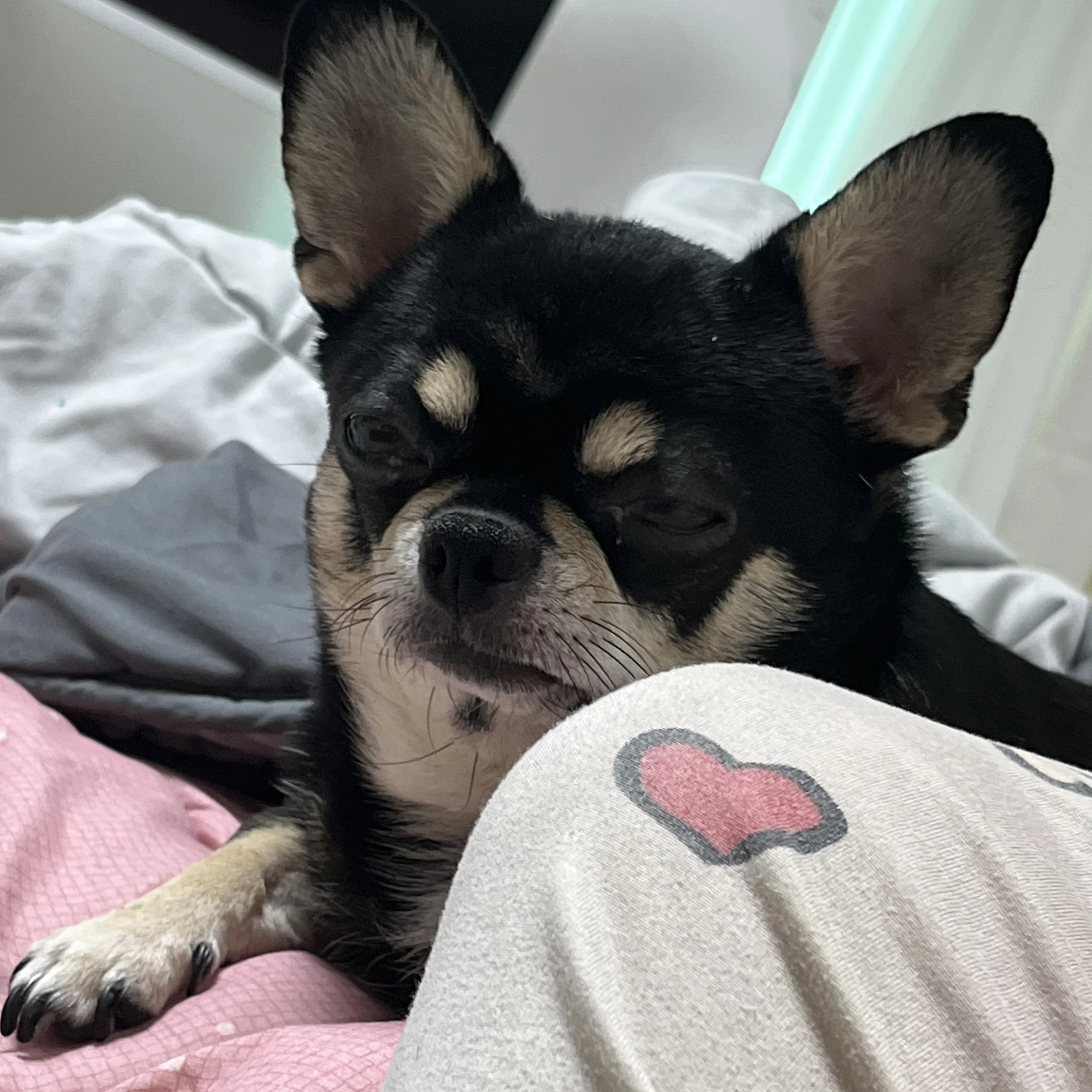 Lee석탄