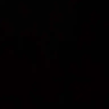 Profile image of クロロ