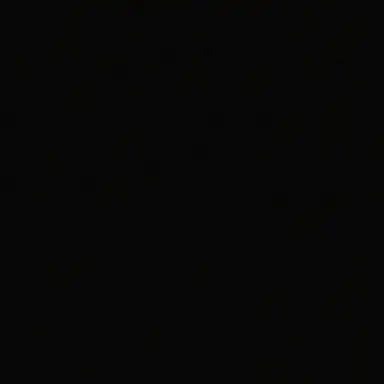 Profile image of 김 동 현