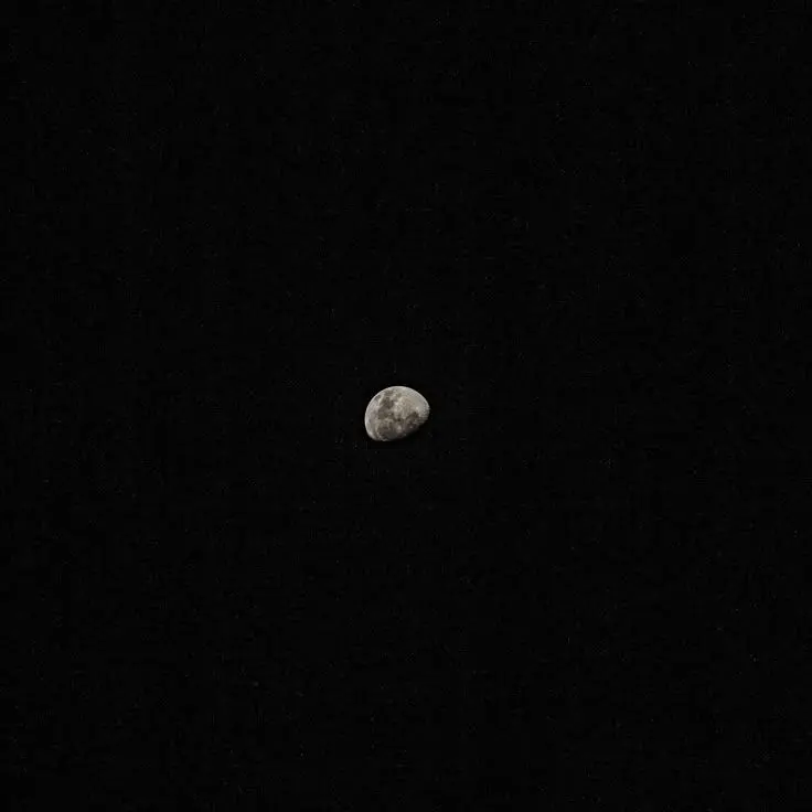 2YEAP의 🎄 크리스마스에만 사랑해