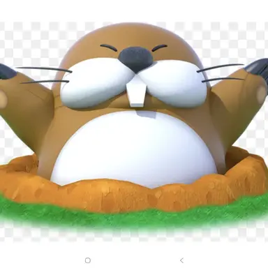 Profile image of 쪼르뚜