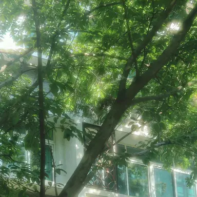 Profile image of 阿部亮平