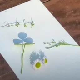 Profile image of 서동운