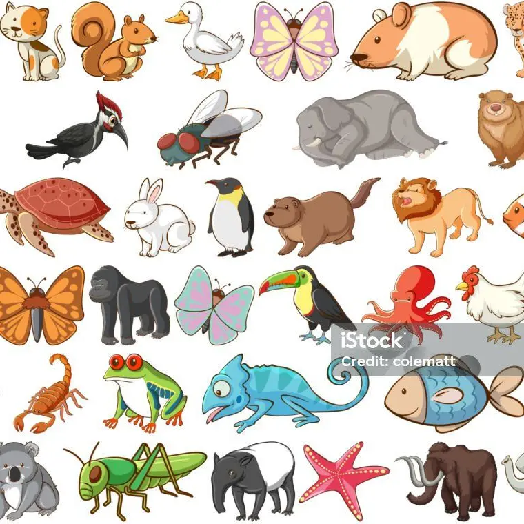 LiveBean7653의 동물 길들이기